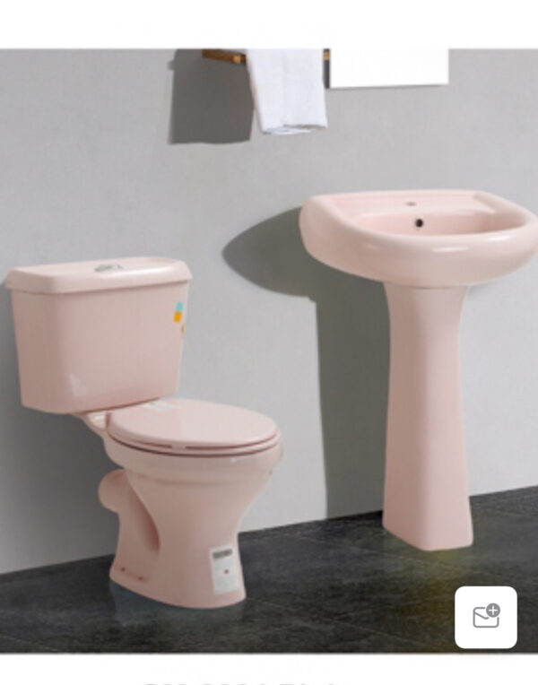 Twyford Mini-Set Water Closet in Pink - Model BT-CC03-1