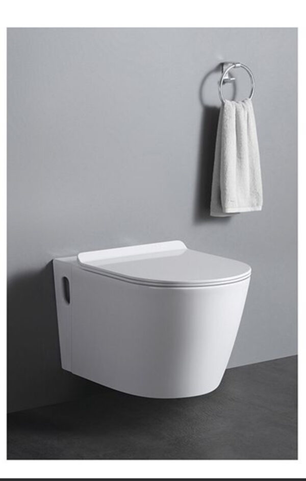 Premium Executive Conduit Toilet - Model BT365-TCT5