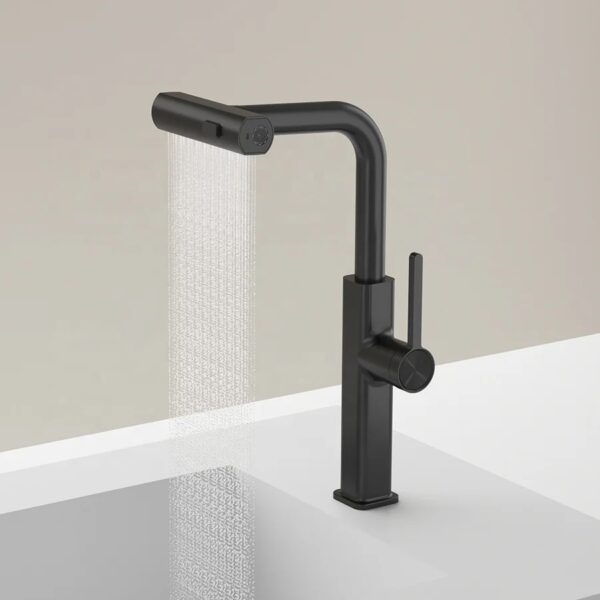 Modern Black 2-Way Spout Pullout Basin/Sink Mixer